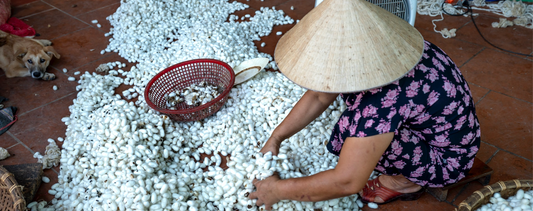 A woman sorts silk cocoons